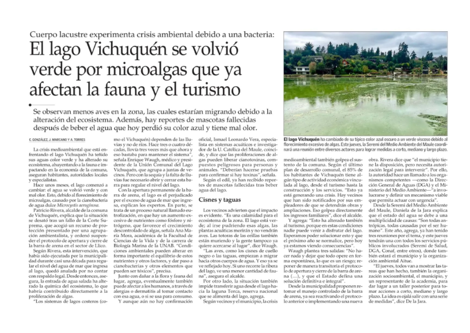 El lago Vichuquén se volvió verde por microalgas que ya afectan la fauna y el turismo